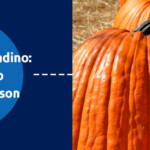 3 Fun Ways To Enjoy Fall In San Bernadino Sheldon s Heating Air