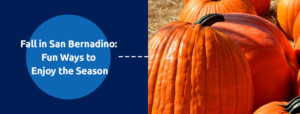 3 Fun Ways To Enjoy Fall In San Bernadino Sheldon s Heating Air