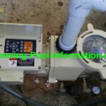 Pool Pump Rebate 1000 00 DWP